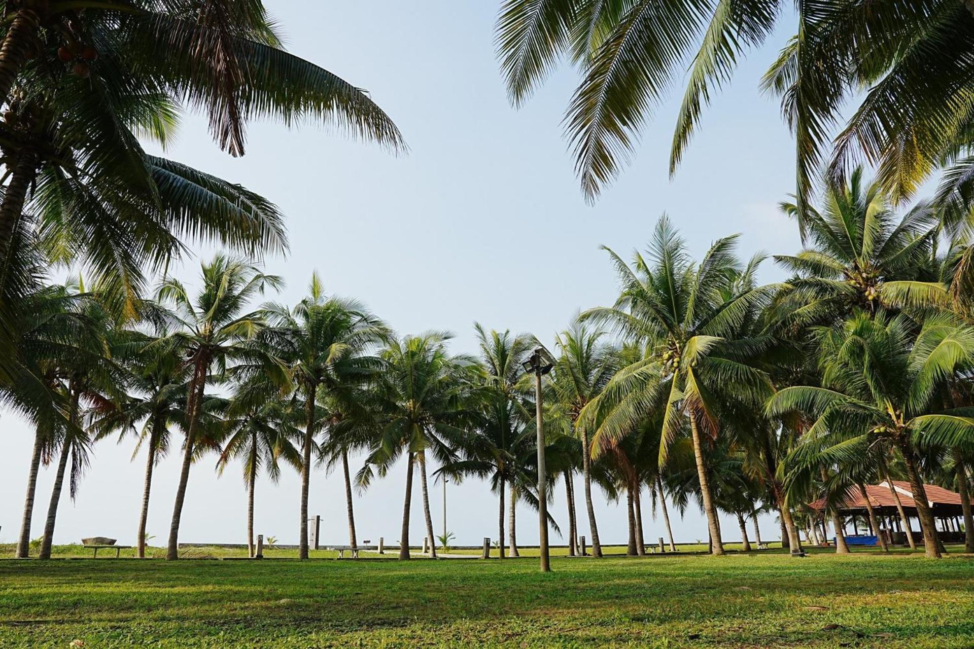 Dat Lanh Beach Resort Lagi Bagian luar foto